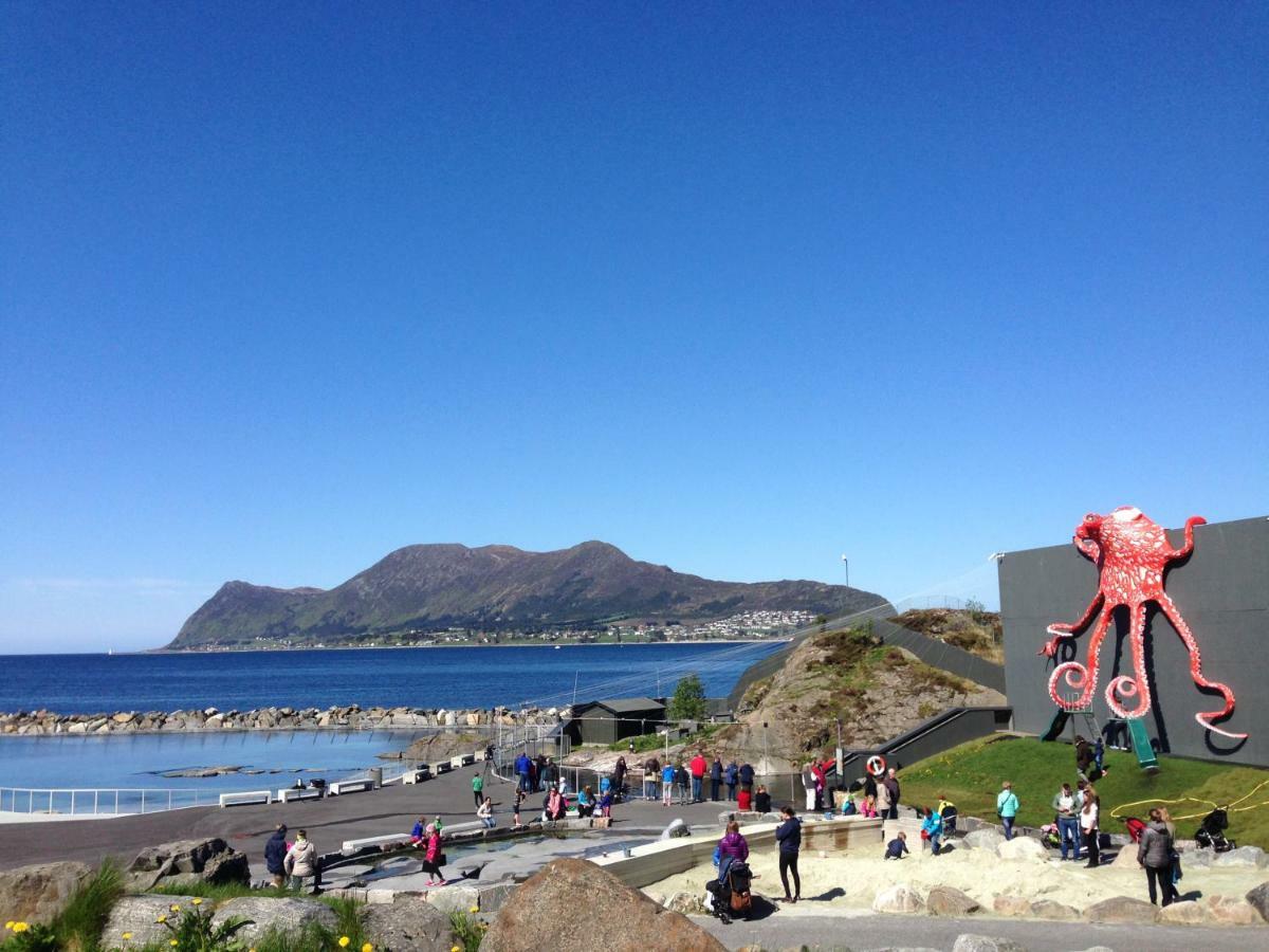 Hotel Four Monkeys Ålesund Esterno foto